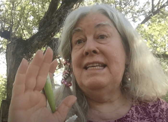 An older white woman with shoulder length white hair is speaking and gesturing emphatically to an unseen person at left.