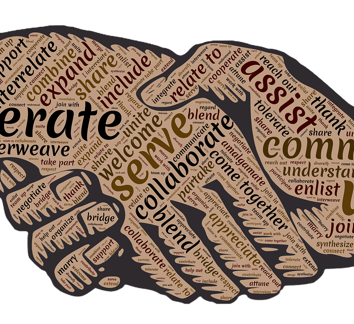 WAM’s Next Steps of Solidarity