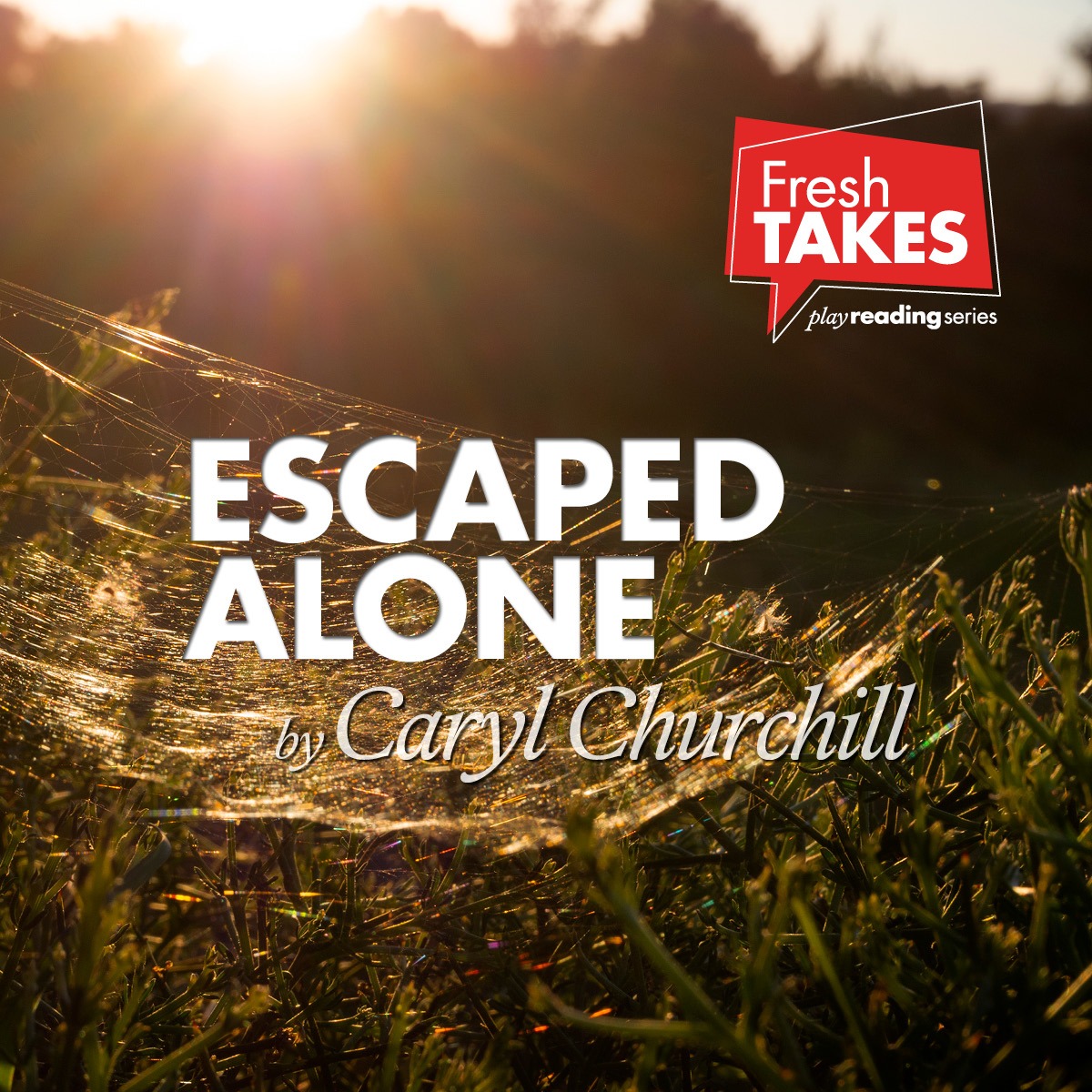 WAM’s  2022 Fresh Takes Play Reading Series concludes with ESCAPED ALONE at The Mount