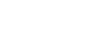 The Berkshire Flyer